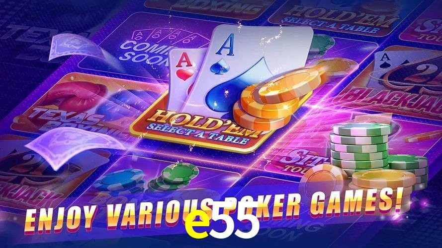 Programa VIP e55
