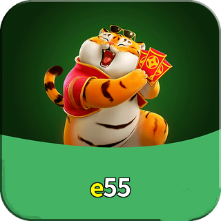 e55